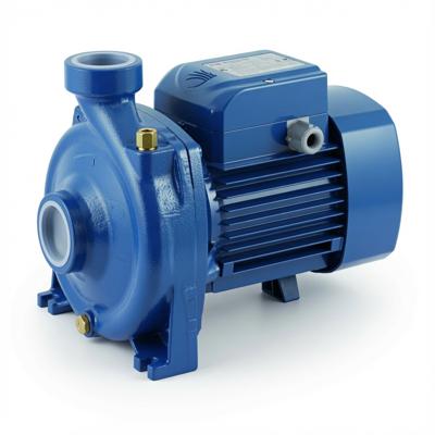 Pedrollo centrifugal water pump 2hp made in italy🇮🇹