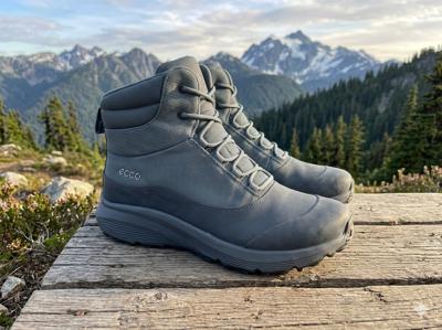 ECCO hiking shoes