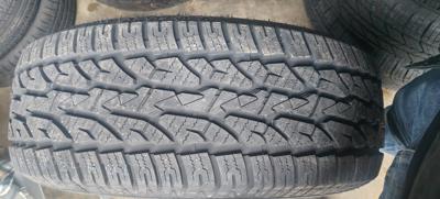 265 60 r18 evergreen tyre best quality tyre for pickup